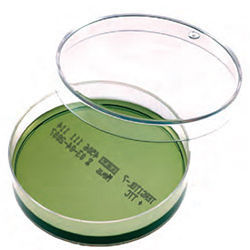Reagente gel di agar - B193536 - Vacutest Kima S.r.l. - per coltura batterica