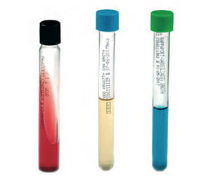 Mezzo reattivo - B19637 - Vacutest Kima S.r.l. - per coltura batterica