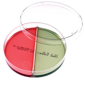 Reagente agar MacConkey - B193272CLED - Vacutest Kima S.r.l. - da ricerca / della Salmonella / della Shigella