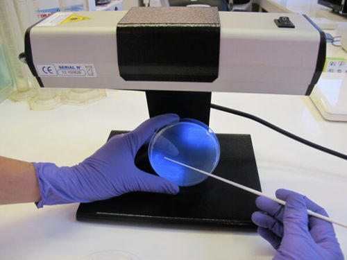 Mezzo reattivo - CD122 - CHROMagar - per isolamento batterico / per campioni di feci / del Clostridium difficile