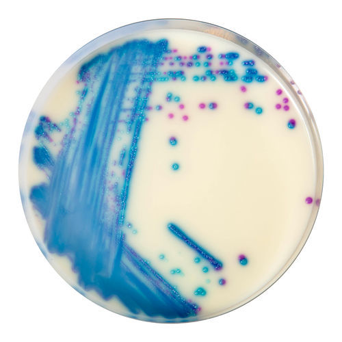 Mezzo reattivo - VR952  - CHROMagar - microbiologico / per campioni di feci / degli enterococchi