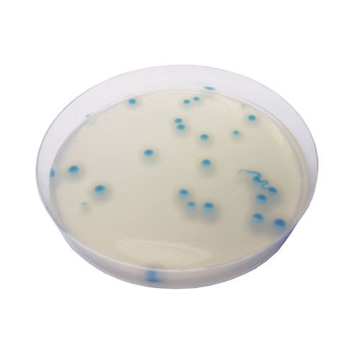 Mezzo reattivo - BC732  - CHROMagar - microbiologico / per prodotti agroalimentari / per analisi ambientale
