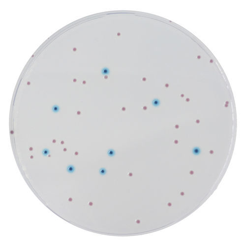 Mezzo reattivo - EB042 - CHROMagar - microbiologico / da laboratorio / per prodotti agroalimentari