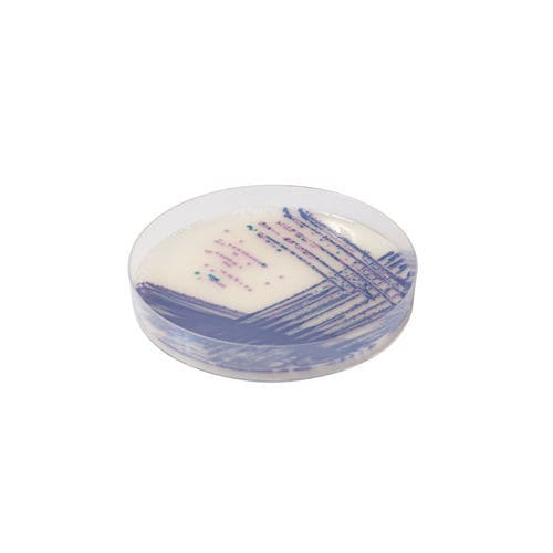 Mezzo reattivo - SA162 - CHROMagar - per isolamento batterico / per prodotti agroalimentari / dell'Escherichia coli