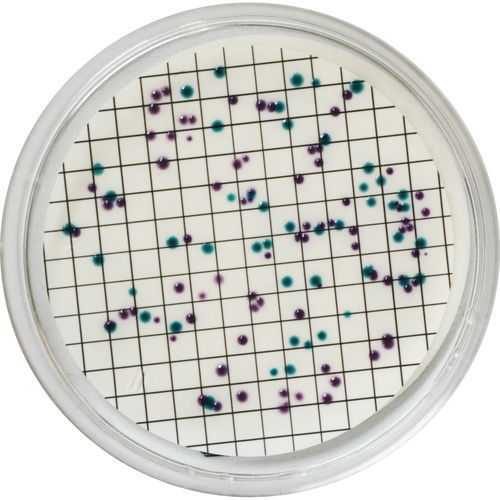 Mezzo reattivo - EL382 - CHROMagar - microbiologico / per analisi di acque / dell'Escherichia coli