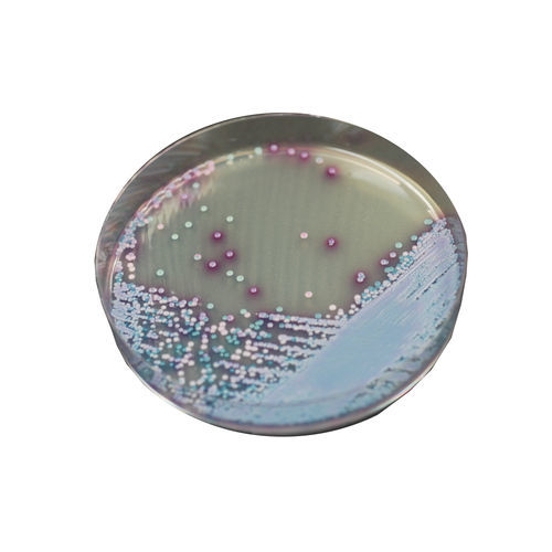 Mezzo reattivo - MZ282 - CHROMagar - microbiologico / per laboratorio veterinario / per esame micologico