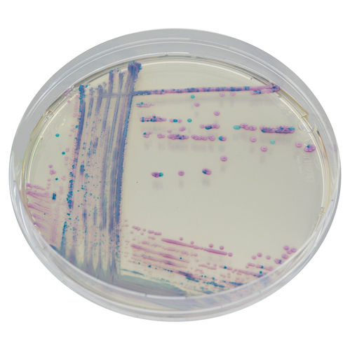 Mezzo reattivo - CQ392 - CHROMagar - microbiologico / per laboratorio veterinario / dell'Escherichia coli