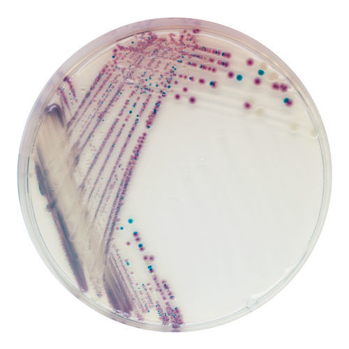 Mezzo reattivo - VB912 - CHROMagar - microbiologico / per laboratorio veterinario / di piombo