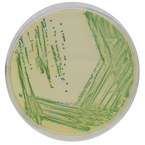 Mezzo reattivo - MC122 - CHROMagar - microbiologico / per laboratorio veterinario / disidratato