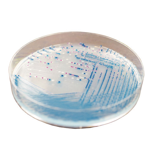 Reagente agar MacConkey - EE222 - CHROMagar - microbiologico / per laboratorio veterinario / dell'Escherichia coli
