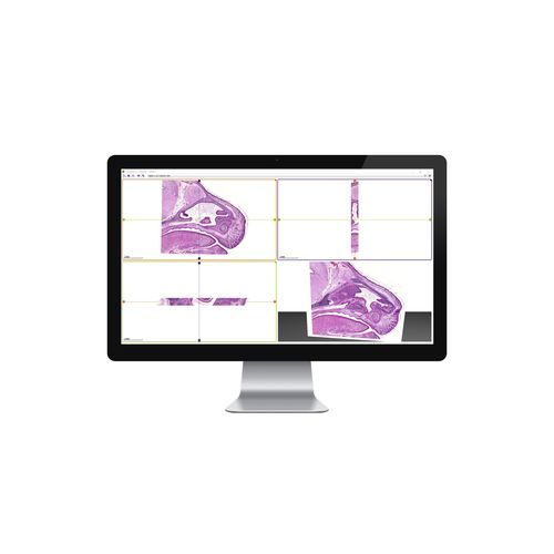 Software medico - 3DView - 3DHISTECH Ltd. - di controllo / 3D / 2D