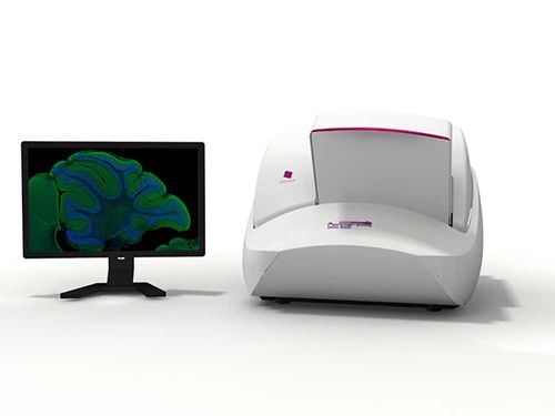 Digitalizzatore di vetrini per microscopio - Pannoramic 250 FLASH III - 3DHISTECH Ltd. - con lettore di codici a barre / di grande capacità / automatico