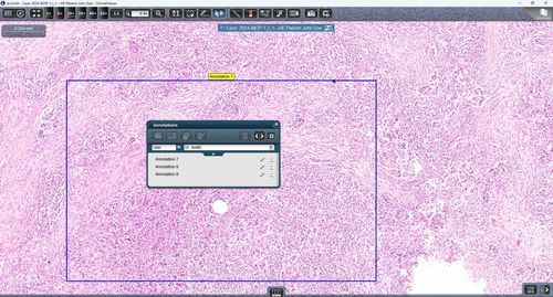 Software medico - ClinicalViewer - 3DHISTECH Ltd. - ospedaliero / clinico / di teleconsultazione