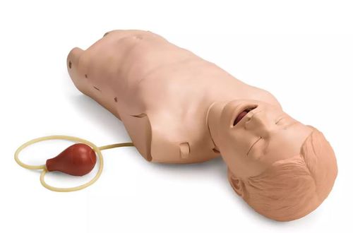 Manichino didattico per assistenza generale - ERTUNÇ ÖZCAN - di anatomia / per gestione delle vie aeree / di adulto