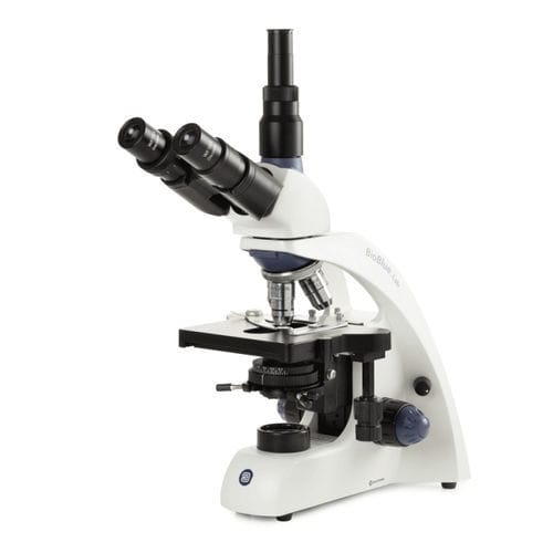 Microscopio ottico - BioBlue.Lab - Euromex - da laboratorio / dritto / binoculare