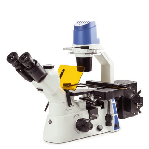 Microscopio invertito - Oxion - Euromex - ottico / da laboratorio / biologico