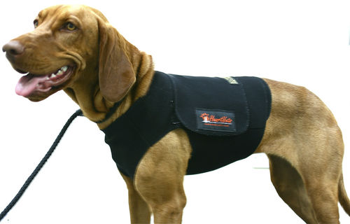 Holter veterinario 1 canale - Holtervests - HeartVets