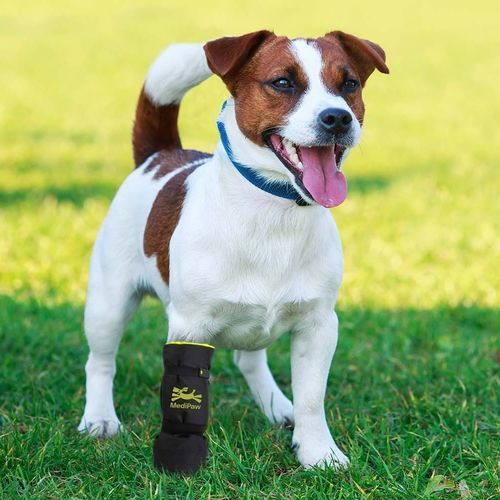 Tutore walker veterinario per animali domestici - MediVet Products - traspirante / impermeabile