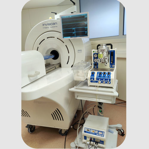 Sistema di imaging cellulare automatico - inviscan - MINERVE - da ricerca / per laboratorio veterinario