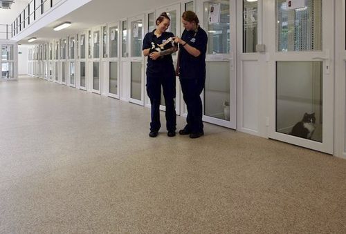 Pavimento in vinile - Mosaic - Polyflor - in PUR / indoor