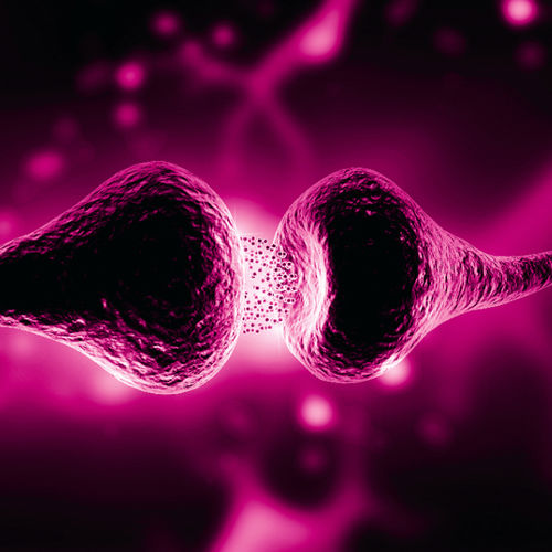 Reagente anticorpo monoclonale - Fujirebio - da ricerca / diagnostico / per immunoanalisi