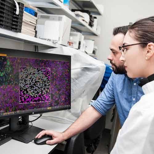 Software da ricerca - HALO® - Leica Biosystems - per struttura sanitaria / per l'industria farmaceutica / per laboratorio di istiologia