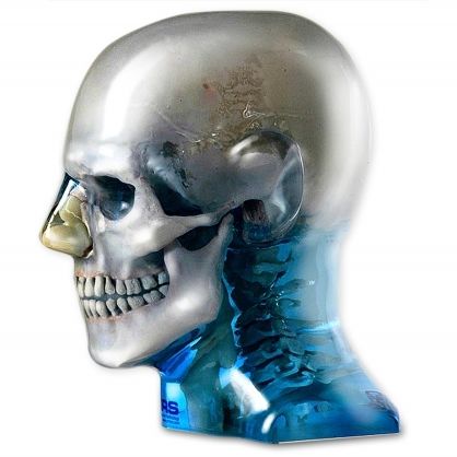 Phantom di calibrazione per scanner a raggi X - 711-HN - CIRS - di testa