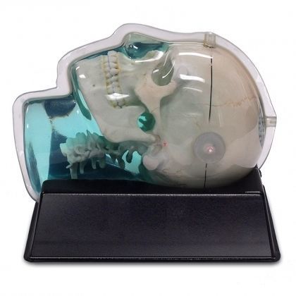 Phantom di calibrazione per radiochirurgia - 603-GS - CIRS - per MRI / di cranio