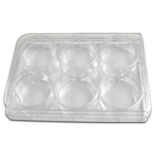 Micropiastra per microbiologia - 120038 - Boekel Scientific - per coltura cellulare / a 6 pozzetti / di cellule