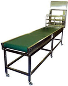 Trasportatore a rulli - Goldsworth - a nastro / per dipartimento di sterilizzazione / in acciaio inossidabile
