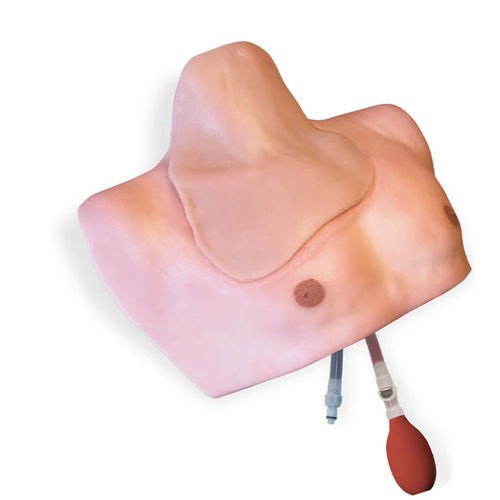 Simulatore di paziente per accesso vascolare - CentraLineMan® - Simulab Corporation - per cataterismo / per cateterismo venoso centrale / per terapia intensiva