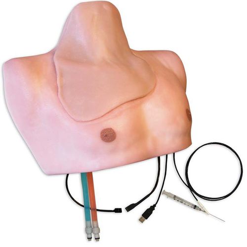 Simulatore di paziente per anestesia - ISBS-30 - Simulab Corporation - per cure infermieristiche / di anatomia / di torso