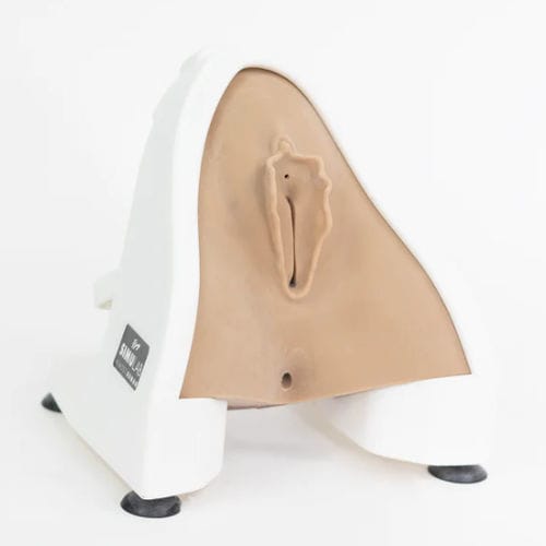 Simulatore didattico - PRT-30-L - Simulab Corporation - per sutura / di riparazione perineale / per cure infermieristiche
