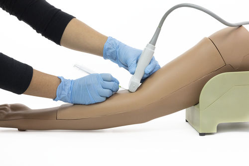Simulatore didattico - Simulab Corporation - per iniezioni endovenose / di anatomia / di braccio