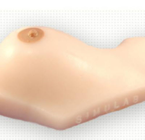 Modello anatomico di seno - BPM-30 - Simulab Corporation - didattico / per biopsia / per ecografia