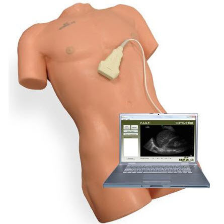 Simulatore di paziente per ecografia - SonoMan® - Simulab Corporation - di anatomia / con trauma / di torso