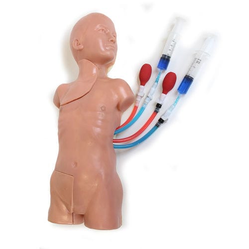 Simulatore di paziente per accesso vascolare - VAC-30 - Simulab Corporation - di torso