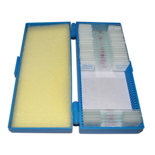 Vetrino per microscopio - C series - DESH BIOLOGICAL WORKS