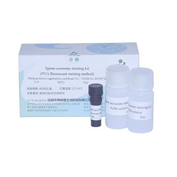 Kit di test di fertilità - A23187 - Bred Life Science Technology Inc . - dello sperma / a fluorescenza
