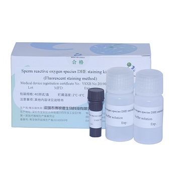 Kit di reagenti soluzione colorante - DHE  - Bred Life Science Technology Inc . - per analisi di sperma
