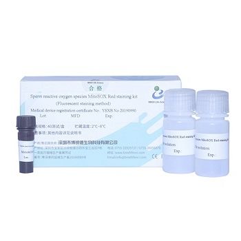 Kit di reagenti soluzione colorante - MitoSOX  - Bred Life Science Technology Inc . - per analisi di sperma