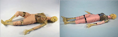 Phantom di calibrazione per radiografia - PIXY - Radiology Support Devices - di corpo intero
