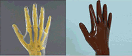 Phantom di calibrazione per radiografia - RS-114T, RS-114 - Radiology Support Devices - mano