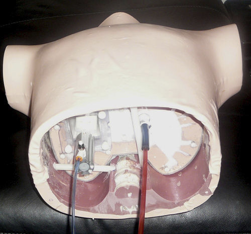 Phantom di calibrazione per radioterapia - RS-1500 - Radiology Support Devices - di torso