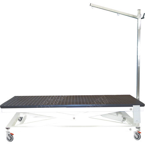 Tavolo per toelettatura elevabile - TAVPET002 - Lory Progetti Veterinari srl - elettrico