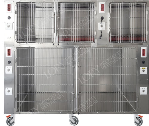 Gabbia veterinaria 5 scomparti - GAANE001-CG - Lory Progetti Veterinari srl - due ponti / con rotelle / in acciaio inossidabile