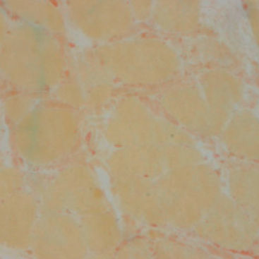 Reagente soluzione colorante - 30 – 30122LY - BIO-OPTICA Milano - per istologia