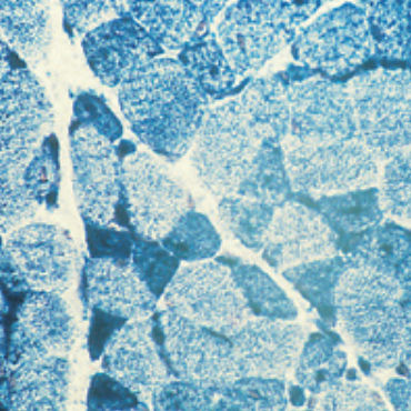 Reagente soluzione colorante - 30-30117LY  - BIO-OPTICA Milano - per istologia