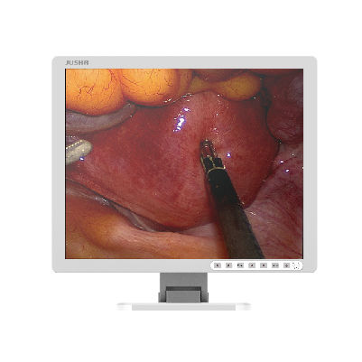 Monitor medico - E190AG - Nanjing Jusha Display Technology - chirurgico / per sala operatoria / per endoscopia
