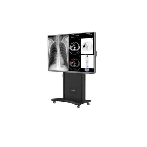Monitor per diagnostica per immagini - S8420S - Nanjing Jusha Display Technology - 3840 × 2160 / portatile / a distanza